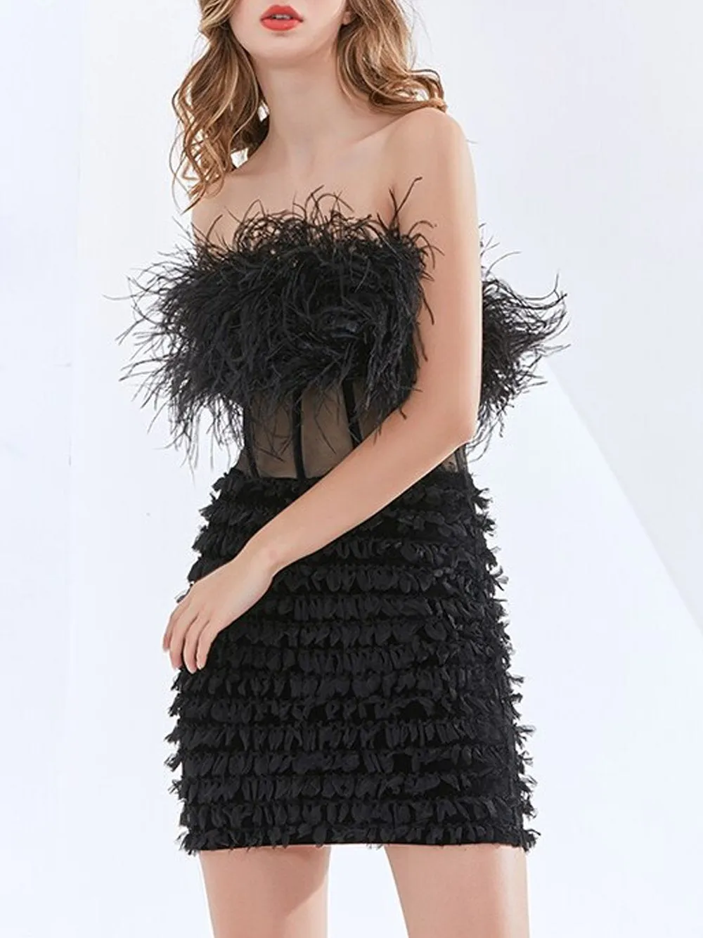 CIERA Feathers Dress