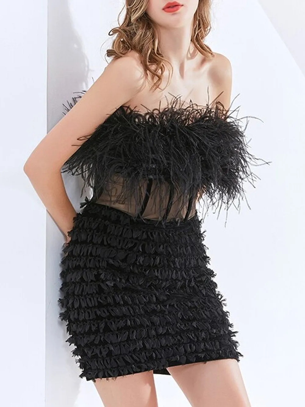 CIERA Feathers Dress