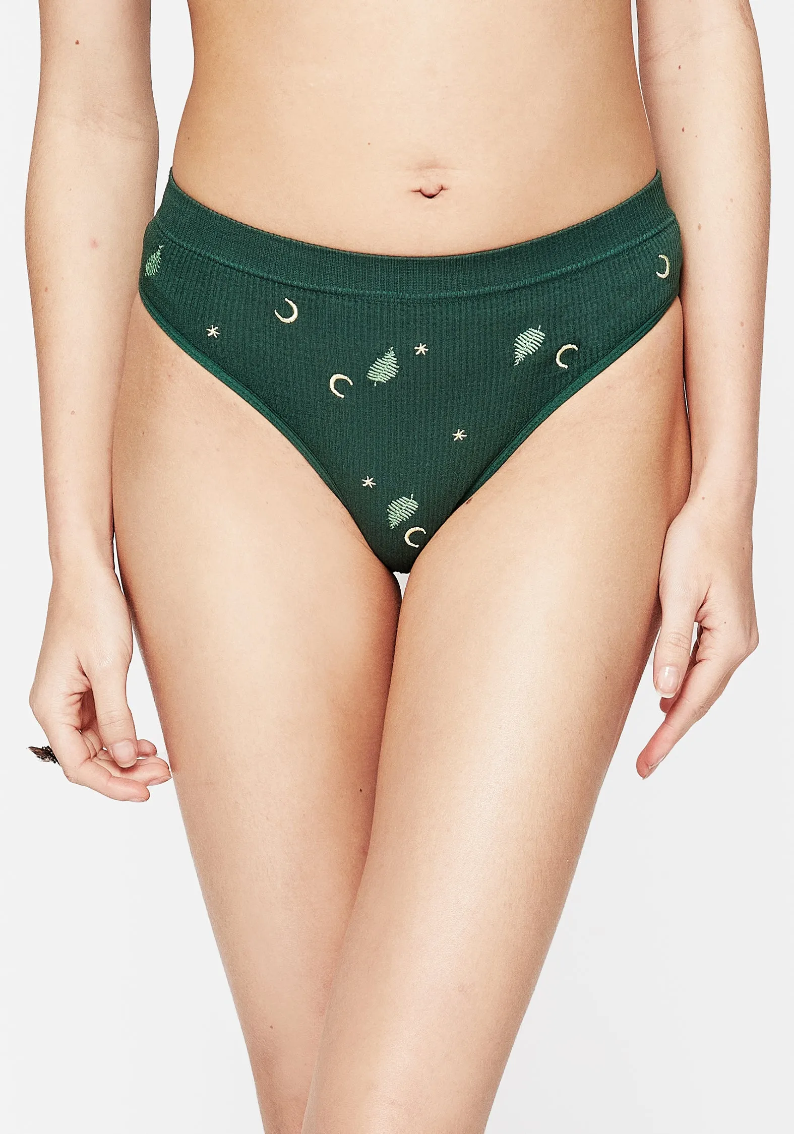 Dianne Fern Embroidered Briefs