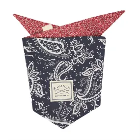 Paisley Bandana